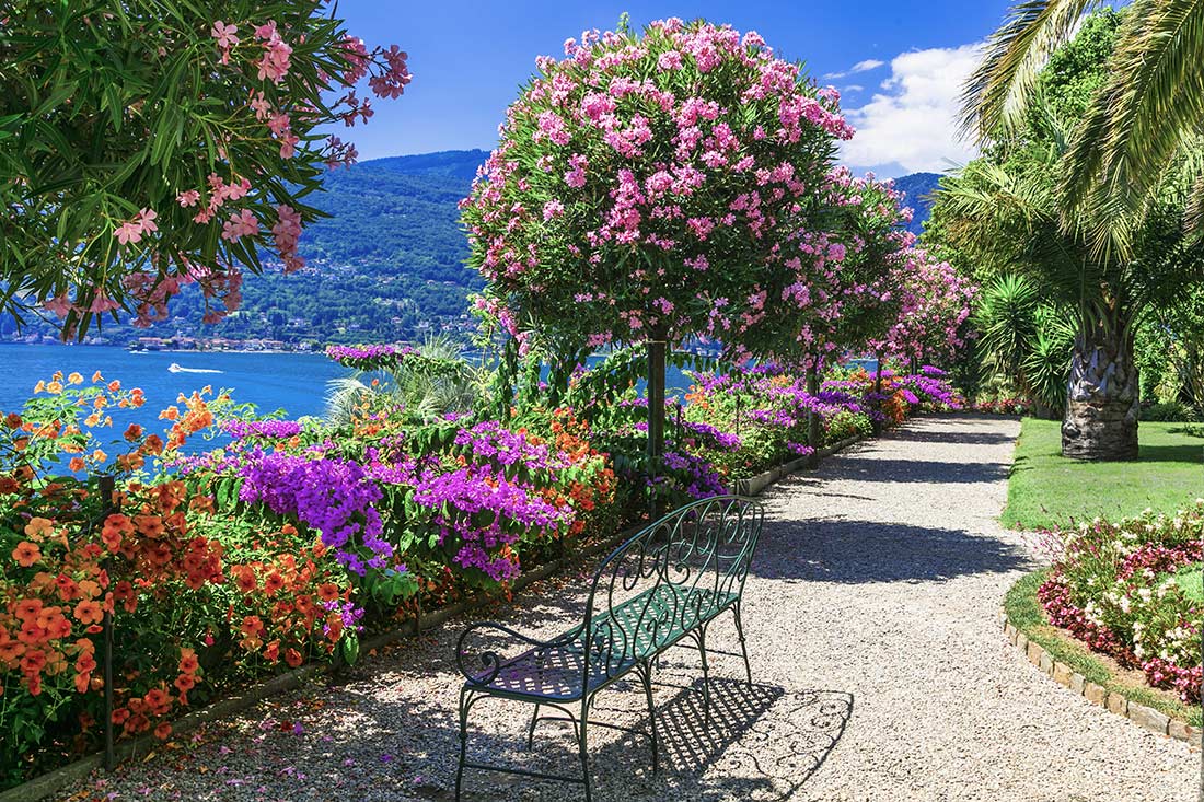 The gardens of Isola Madre, Lake Maggiore