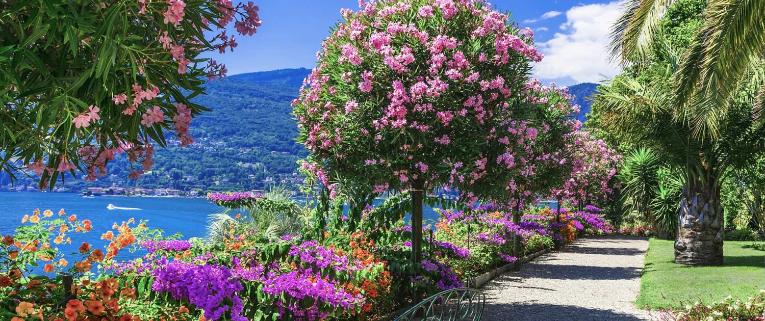 The gardens of Isola Madre, Lake Maggiore